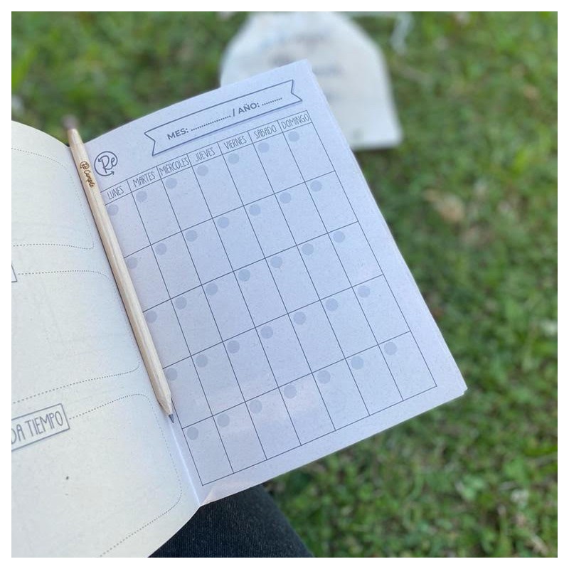 RePlanner - 3