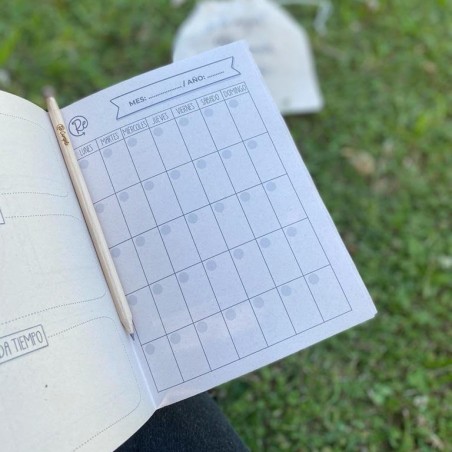 RePlanner - 3