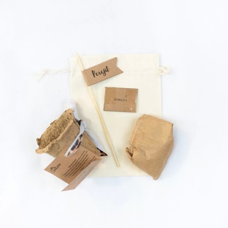Kit plantable en bolsita personalizada