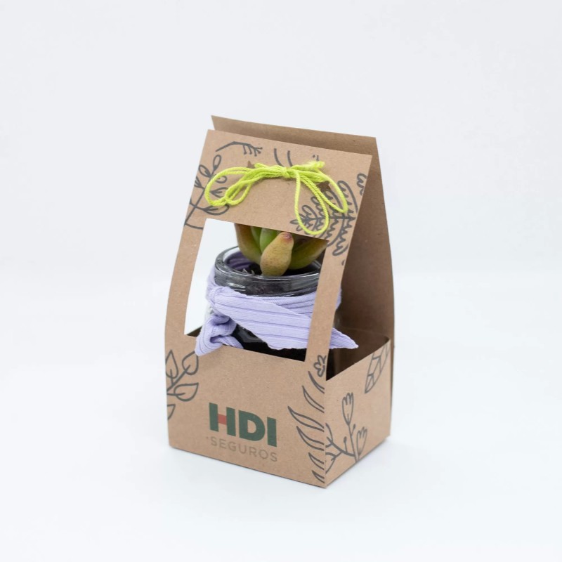 Suculentas frasco de vidrio packaging