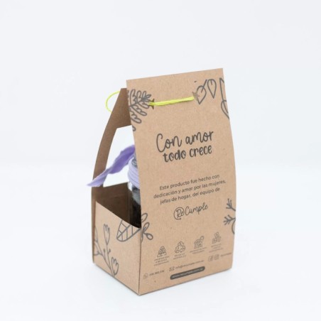 Suculentas frasco de vidrio packaging